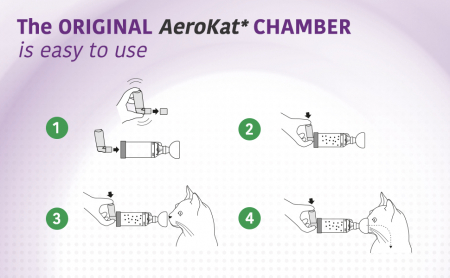 AeroKat – dispozitiv pentru administrare aerosoli la pisică [3]
