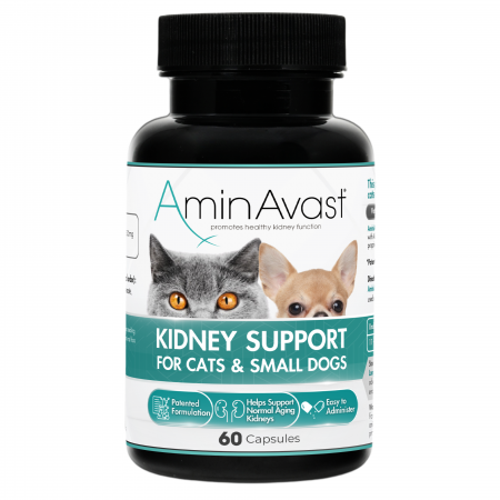 Afecțiuni - AminAvast Cat & Small Dogs 300 mg – 60 capsule