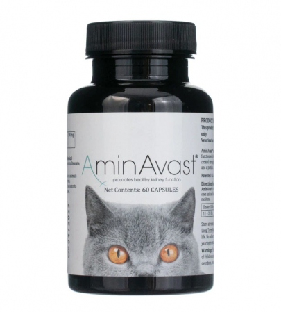Afecțiuni Renale și Urinare - AminAvast Cat & Small Dogs 300 mg – 60 capsule