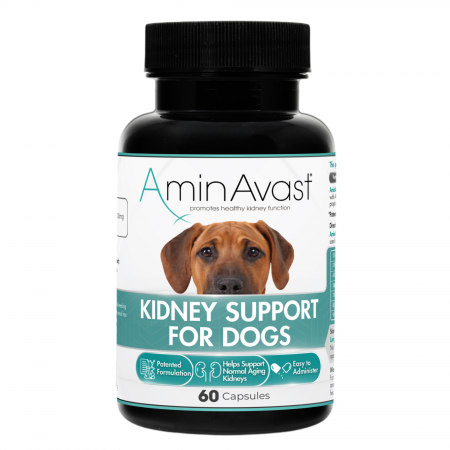 Afecțiuni Renale și Urinare - AminAvast Dog 1000 mg – 60 capsule