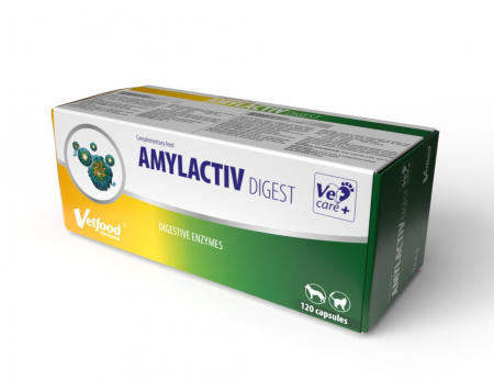 Afecțiuni - Amylactiv Digest - 120 capsule