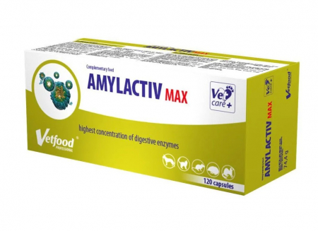 Farmacie Rozătoare - Amylactiv Max - 120 capsule