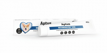Aptus Recobooster Dog Pastă – 100 g