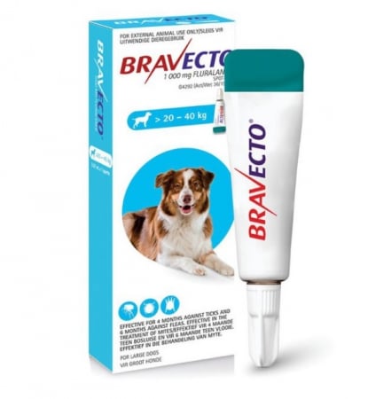 Antiparazitare Externe - Bravecto 1000 mg (20-40 kg) - o pipetă