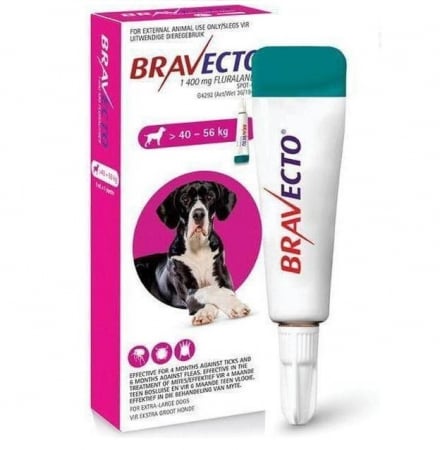 Antiparazitare Externe - Bravecto 1400 mg (40-56 kg) - o pipetă