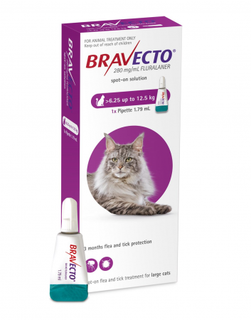 Antiparazitare Externe - Bravecto Cat spot on 500 mg (6,25-12,5 kg) - o pipetă