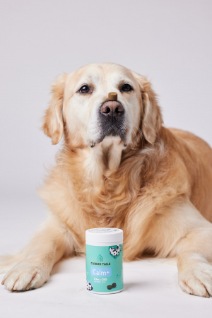 Calm+ Dog Snacks - 150 g [2]