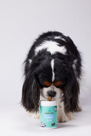 Calm+ Dog Snacks - 150 g [1]