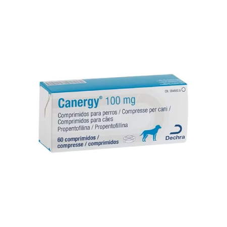 Afecțiuni Neurologice - Canergy 100 mg – 60 tablete