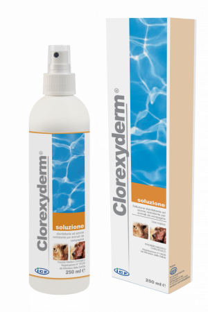 Afecțiuni Dermatologice - Clorexyderm Spray 0,5 % - 200 ml
