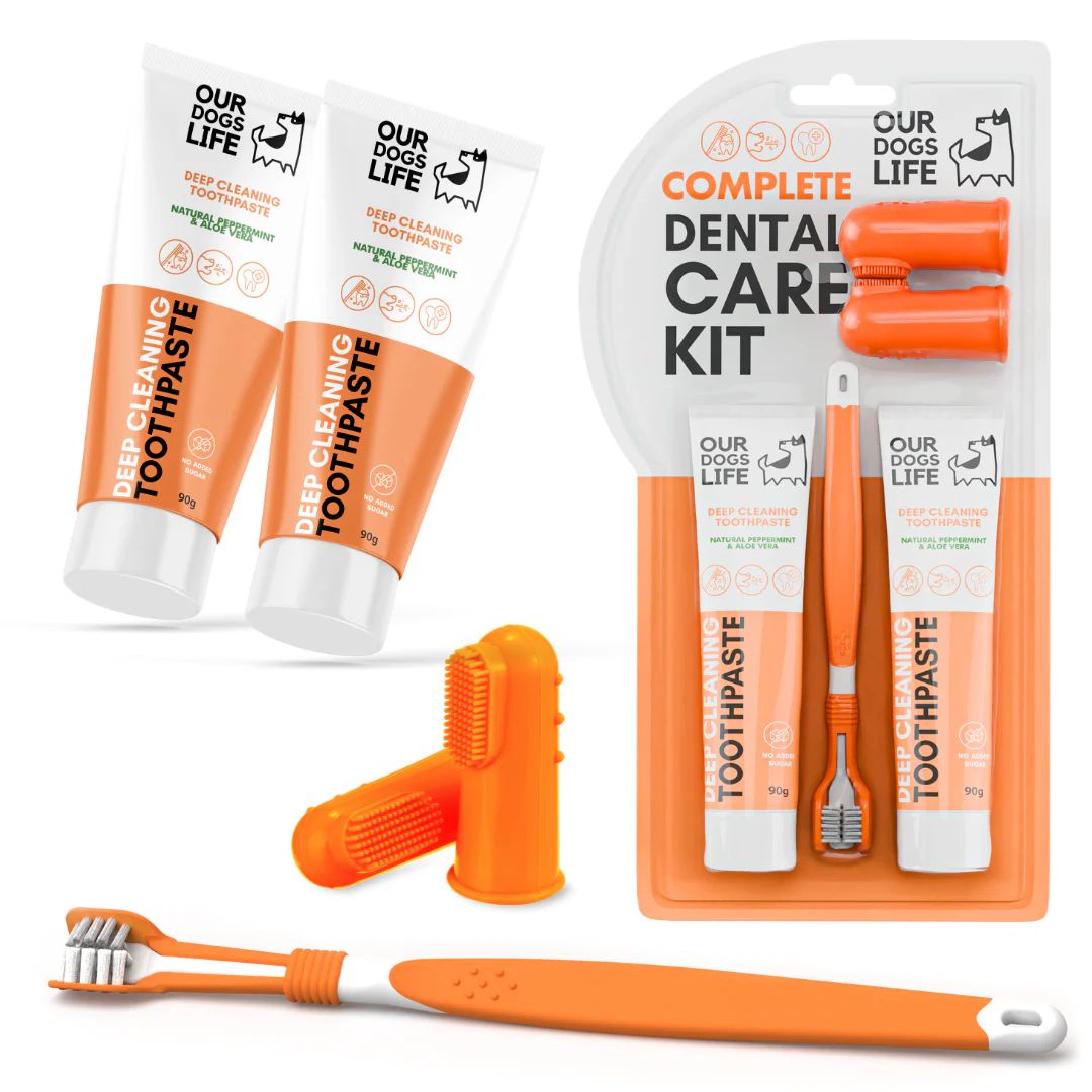 Afecțiuni - Dental Care Kit - Periuțe și Pastă de dinți OurDogsLife
