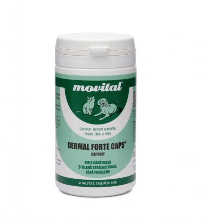 Pisici - Dermal Forte Caps – 100 capsule