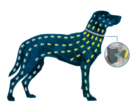 Foresto Zgardă Antiparazitară pentru câini peste 8 kg – 70 cm [2]