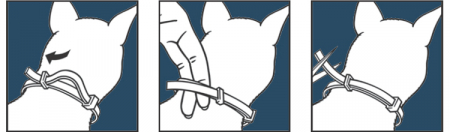 Foresto Zgardă Antiparazitară pentru câini peste 8 kg – 70 cm [3]