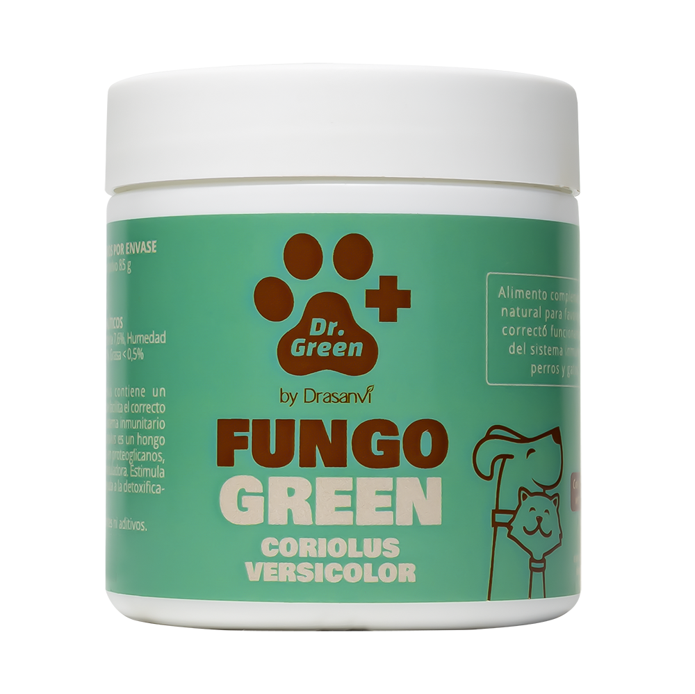 FungoGreen Coriolus Versicolor - Pudră 85 g