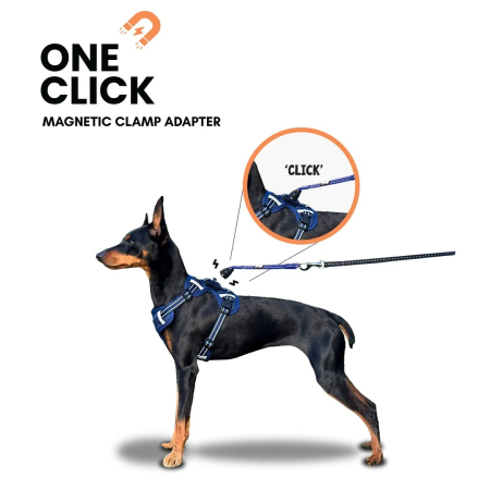 Hamuri, Zgărzi și Lese - Ham pentru câini OurDogsLife - Negru - Large