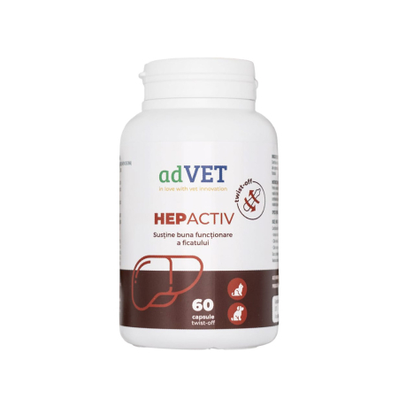 Afecțiuni - HepActiv - 60 capsule twist off