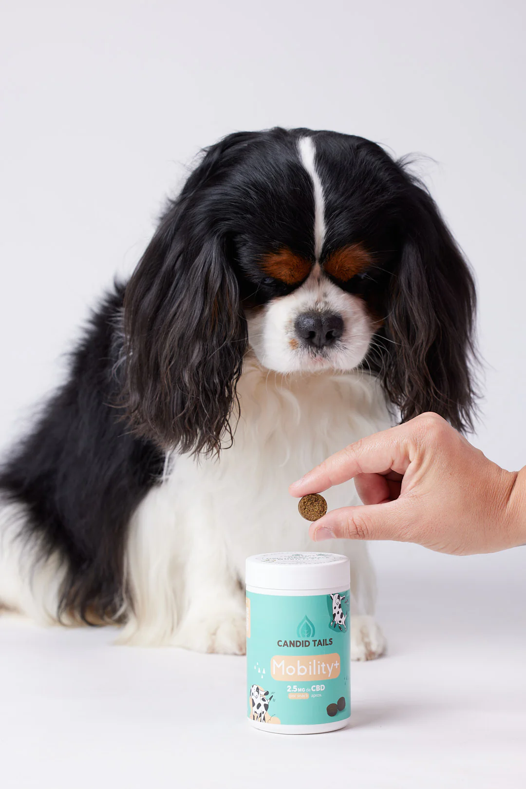 Mobility+ Dog Snacks - 150 g [3]