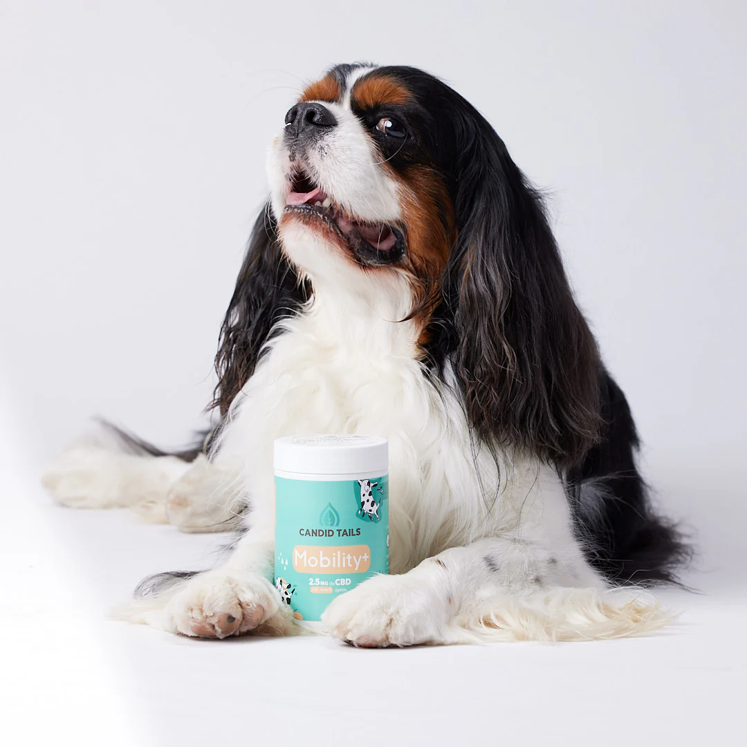 Mobility+ Dog Snacks - 150 g [2]