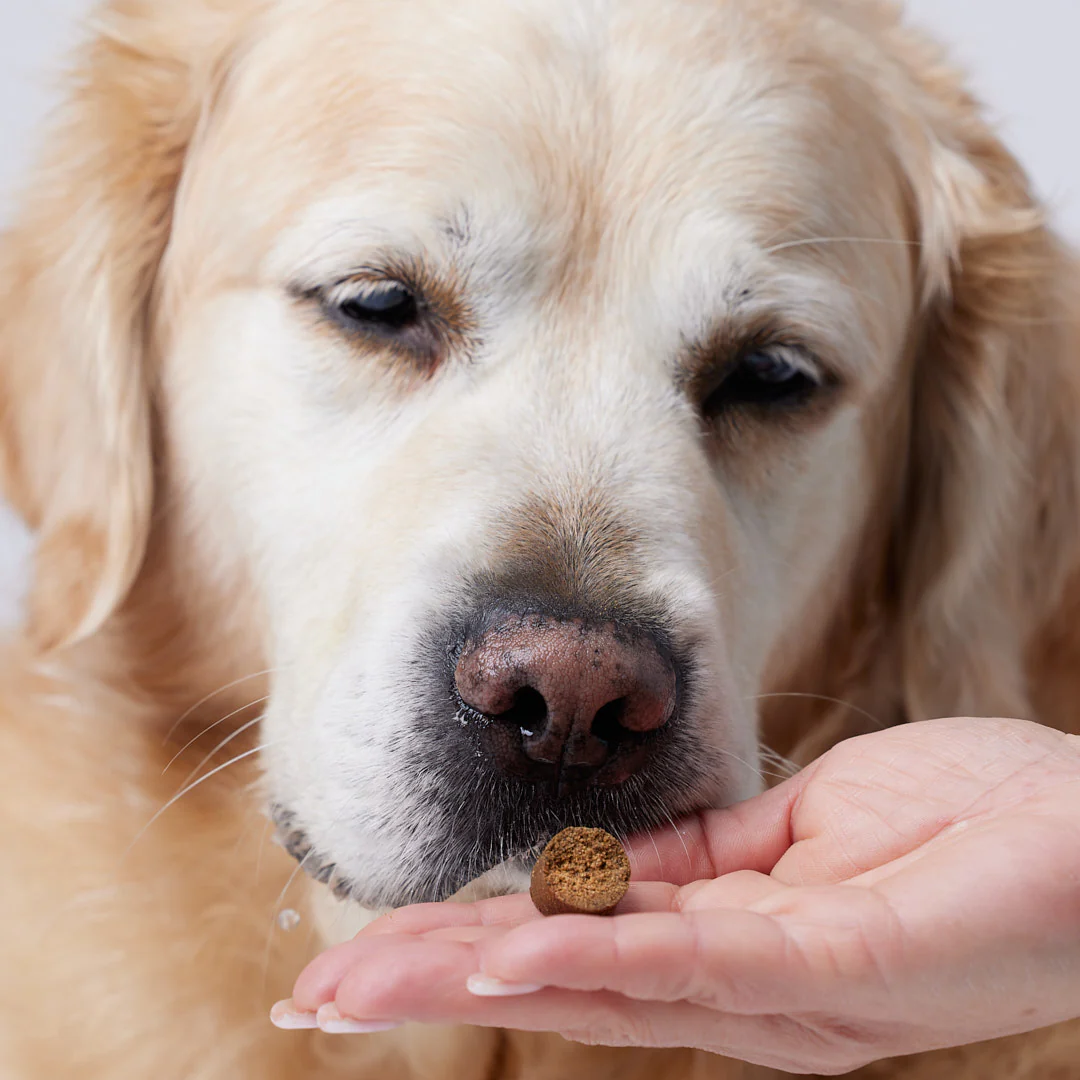 Mobility+ Dog Snacks - 150 g [6]