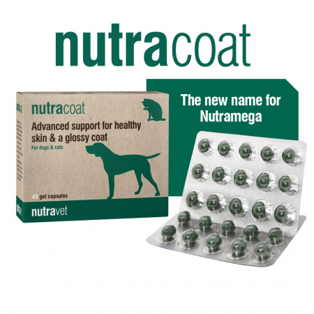 Produse cu termen scurt - Nutracoat pentru Câini și Pisici - 45 capsule