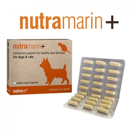 Pisici - Nutramarin+ pentru Câini și Pisici - 30 capsule