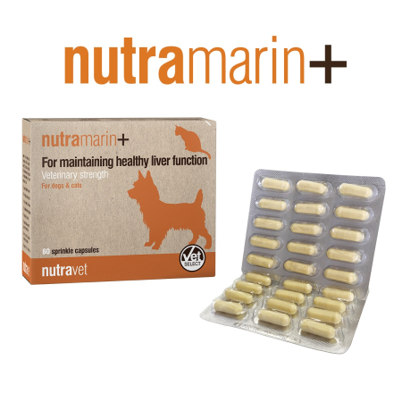 Farmacie Pisici - Nutramarin+ pentru Câini și Pisici - 60 capsule