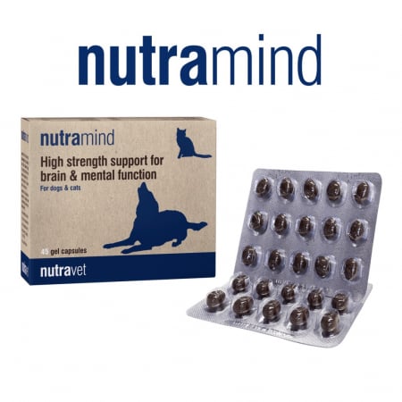 Afecțiuni Neurologice - Nutramind pentru Câini și Pisici -  45 capsule