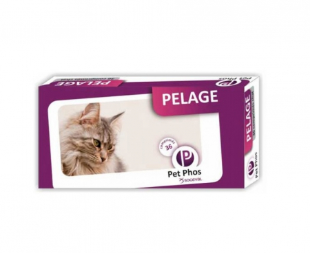 Farmacie Pisici - Pet Phos Felin Special Pelage - 36 tablete