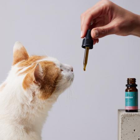 Petibidiol Oil 250 mg (2.5%) for Cats - 10 ml [4]