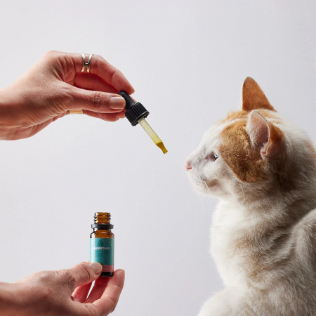 Petibidiol Oil 250 mg (2.5%) for Cats - 10 ml [3]