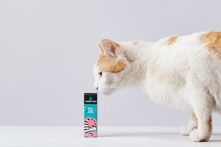 Petibidiol Oil 250 mg (2.5%) for Cats - 10 ml [5]