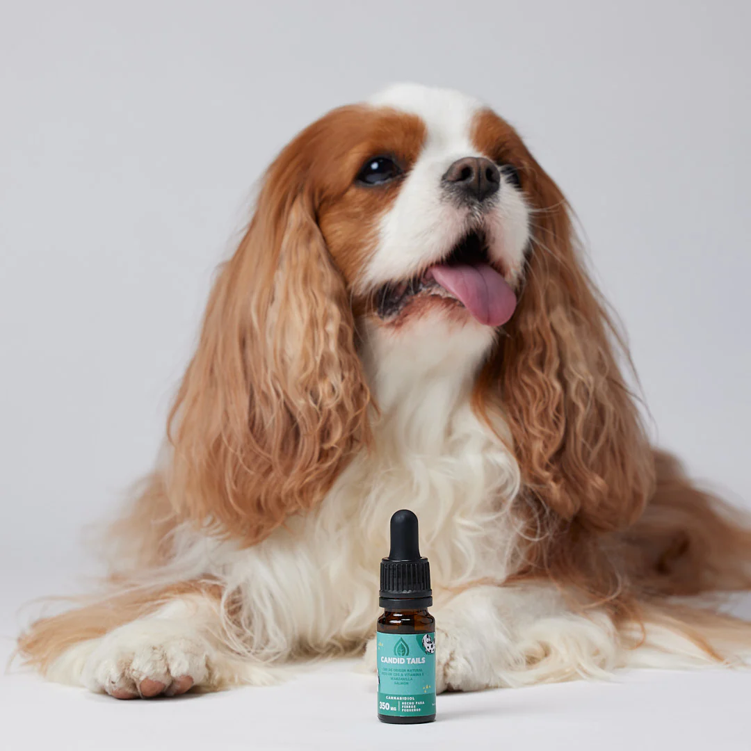 Petibidiol Oil 350 mg (3.5%) for Small Dogs - 10 ml [4]