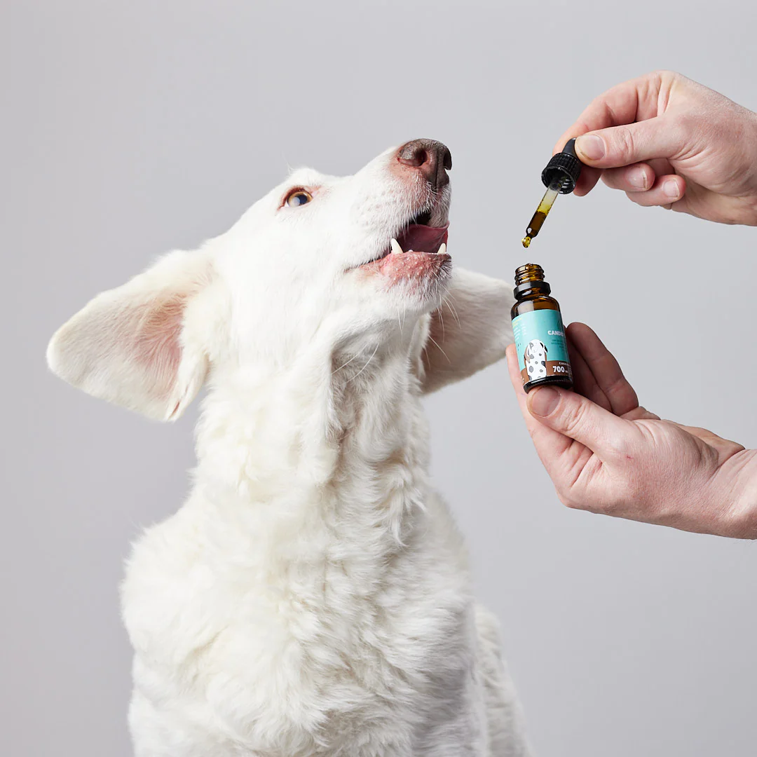 Petibidiol Oil 700 mg (3.5%) for Medium Dogs - 20 ml [2]