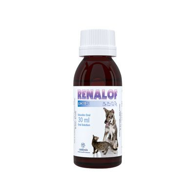 Farmacie Pisici - RenalOf Pets – 30 ml
