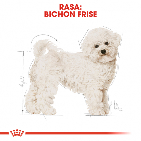 Royal Canin Bichon Frise Adult Dog - 1.5 kg [3]
