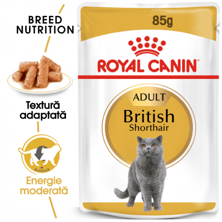 Royal Canin British Shorthair - in sos - 85 g [1]