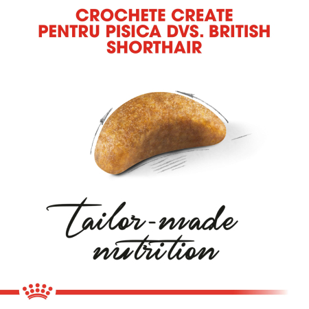Royal Canin British Shorthair Kitten – 400 g [3]