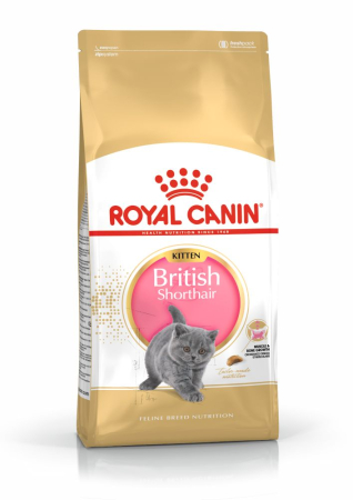 Hrană / Diete Pisici - Royal Canin British Shorthair Kitten – 2 kg