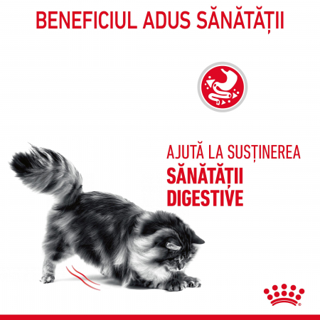 Royal Canin Digestive Care Cat - 2 kg [2]