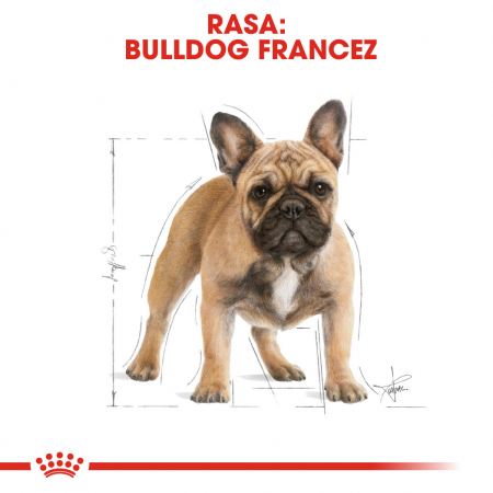 Royal Canin French Bulldog Adult Dog - 1.5 kg [3]
