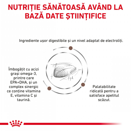 Royal Canin GastroIntestinal Cat - 4 kg [4]