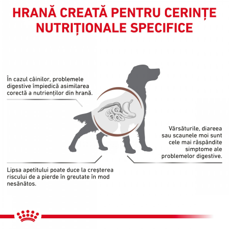 Royal Canin GastroIntestinal Dog– 2 kg [1]