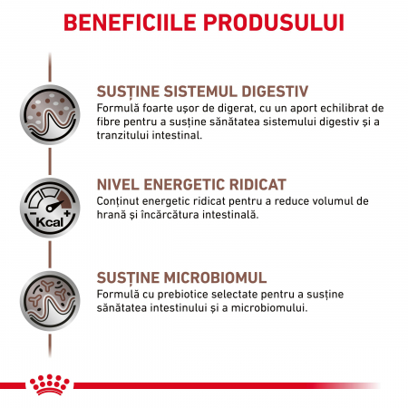 Royal Canin GastroIntestinal Dog – 400 g [1]