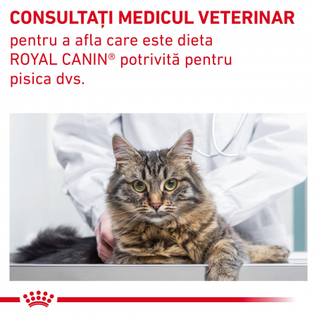 Royal Canin GastroIntestinal Fibre Response Cat - 2 kg [9]