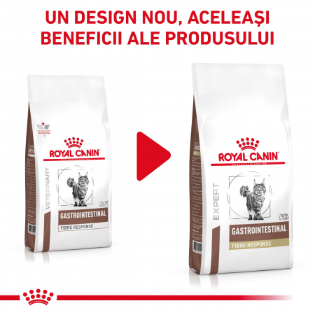 Royal Canin GastroIntestinal Fibre Response Cat - 4 kg [1]
