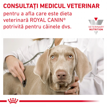Royal Canin GastroIntestinal High Fibre Dog – 7.5 [7]