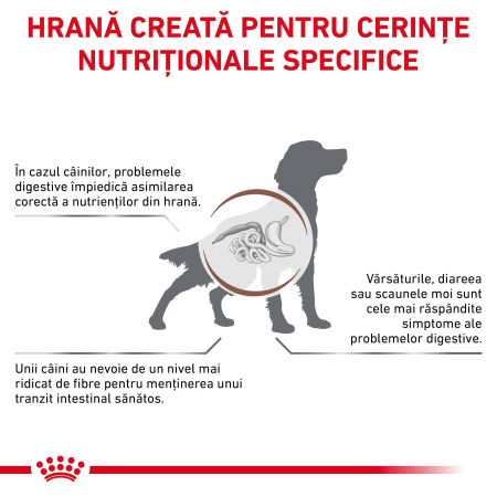 Royal Canin GastroIntestinal High Fibre Dog – 2 kg [1]