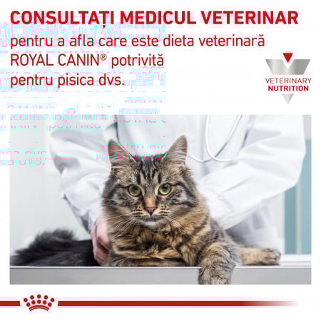 Royal Canin GastroIntestinal Kitten - 195 g [4]