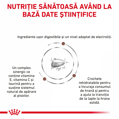 Royal Canin Gastrointestinal Kitten - 2 kg [3]